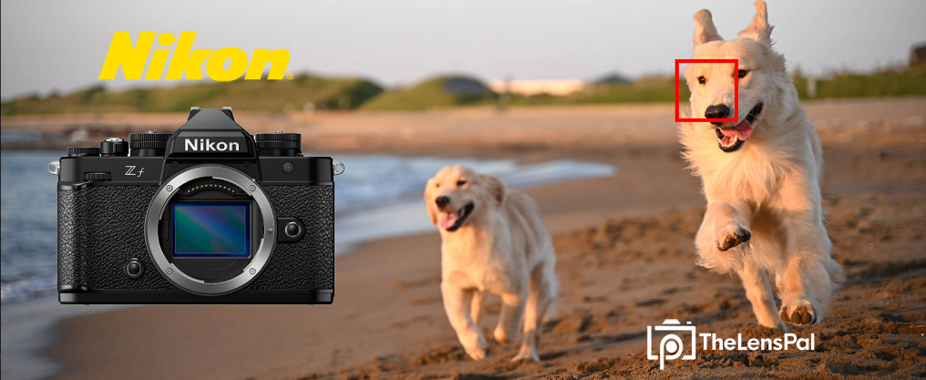 The Lens Pal